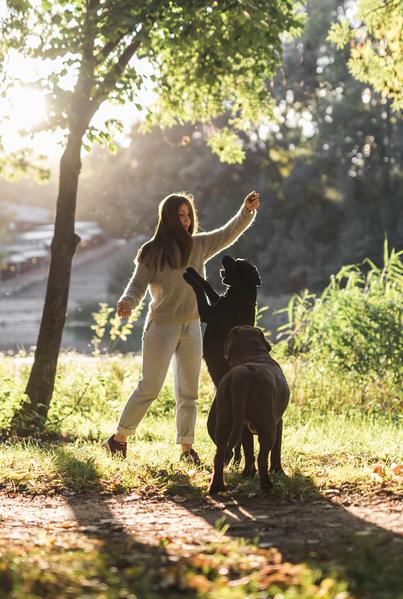 Hotel Principe Venezia Dog Sitter Service 01